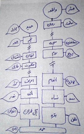 The Holy Quran as the fixed root of the believer's spiritual growth tree, itself is tree.